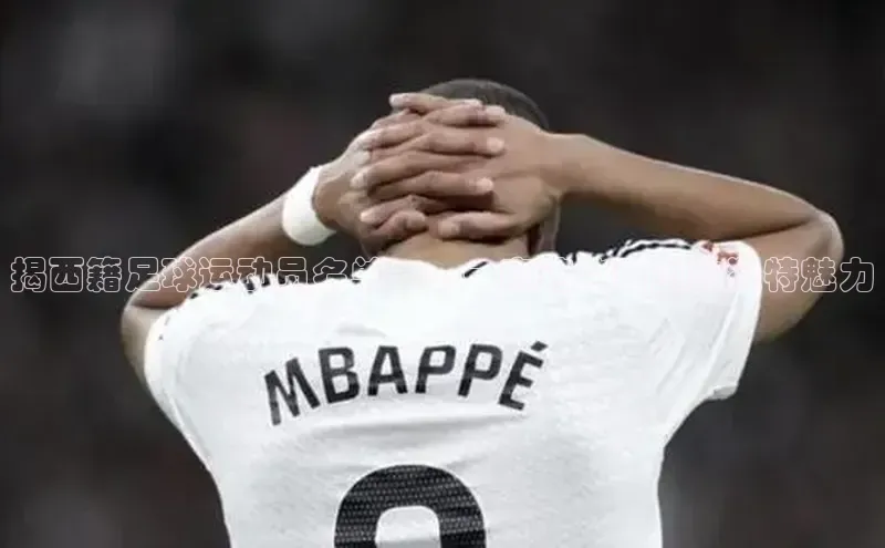 球速体育官网宇信科技揭西籍足球运动员名单——一窥这些球员的独特魅力