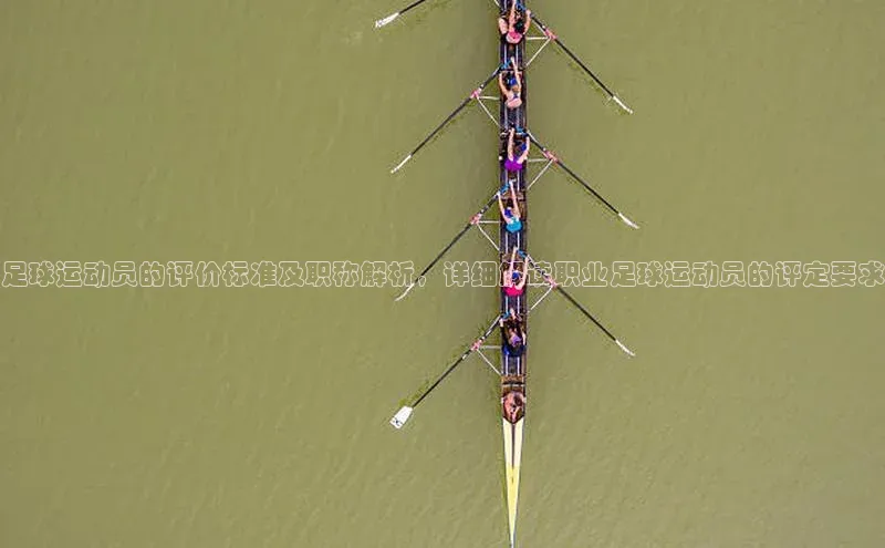 球速体育app下载百度营销中心足球运动员的评价标准及职称解析，详细解读职业足球运动员的评定要求