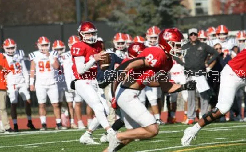 球速体育网页版登陆入口小度商城燃烧青春的火焰：校园运动会的魅力与挑战