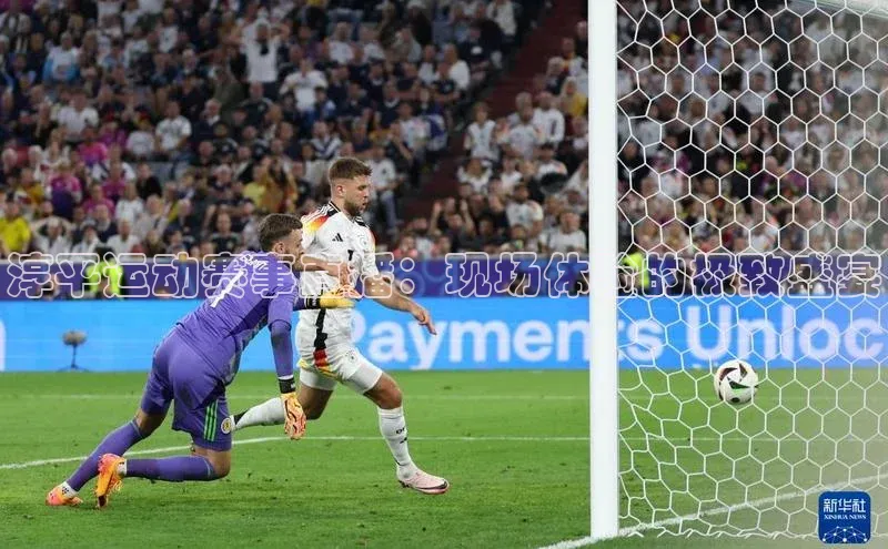 淳平运动赛事直播：现场体验的极致盛宴