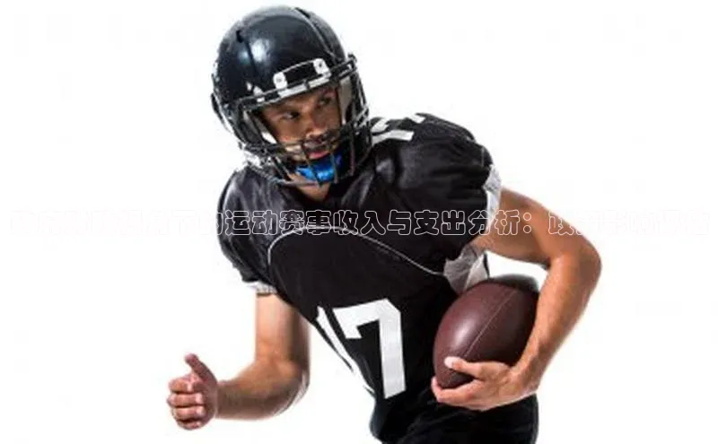 政府财政视角下的运动赛事收入与支出分析：政策影响评估