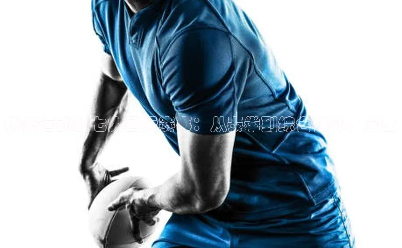 搏击运动的七大国际赛事：从泰拳到综合格斗，全面