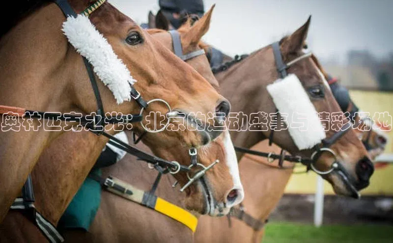 奥林匹克之光：北京的运动盛事与精彩场地
