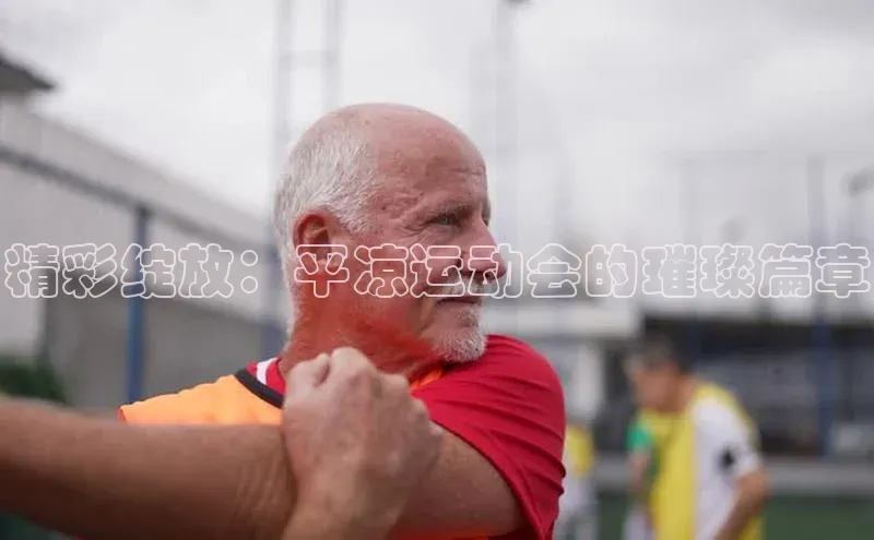 精彩绽放：平凉运动会的璀璨篇章