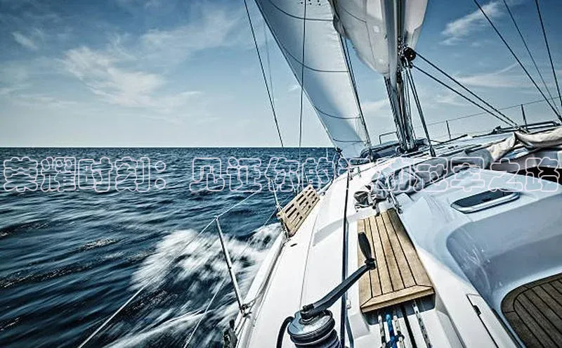 荣耀时刻：见证你的运动冠军之路