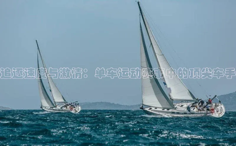 追逐速度与激情：单车运动赛事中的顶尖车手
