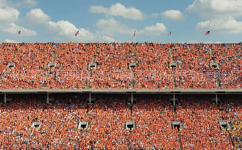 体育盛宴：美国顶级运动赛事解说背后的精彩瞬间