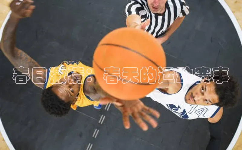 球速体育网页版