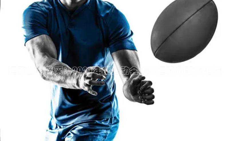 速球体育官方入口地址