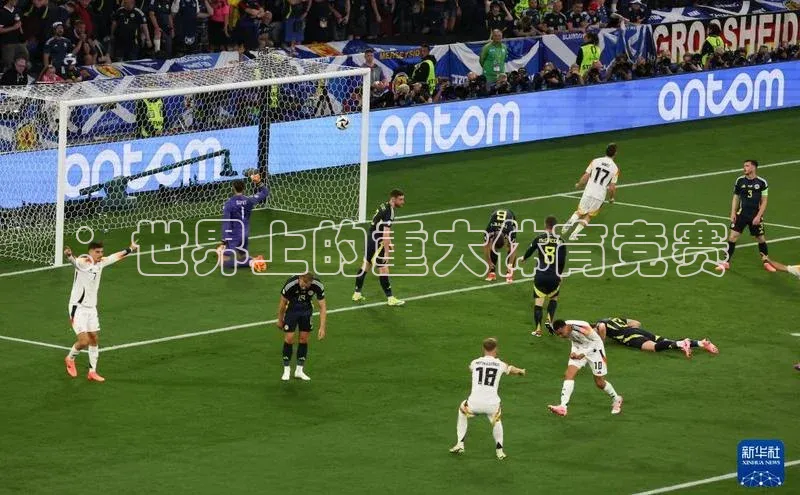 速球app下载入口