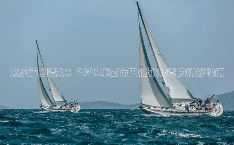 球速体育登录入口