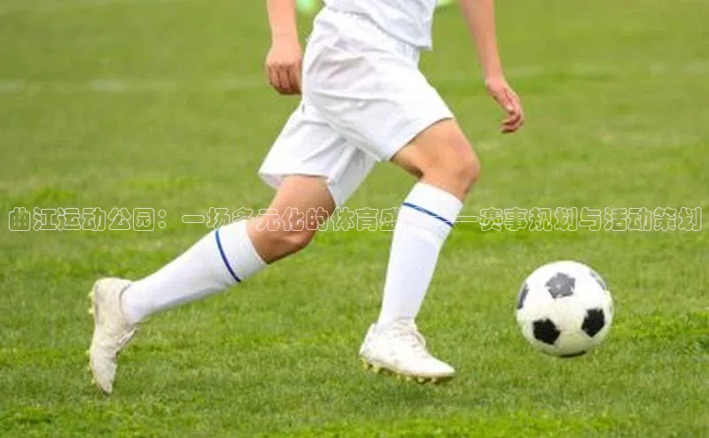 球速体育app登录入口